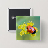 vrouw bovenop vierkante button 5,1 cm (Voorkant /achterkant)