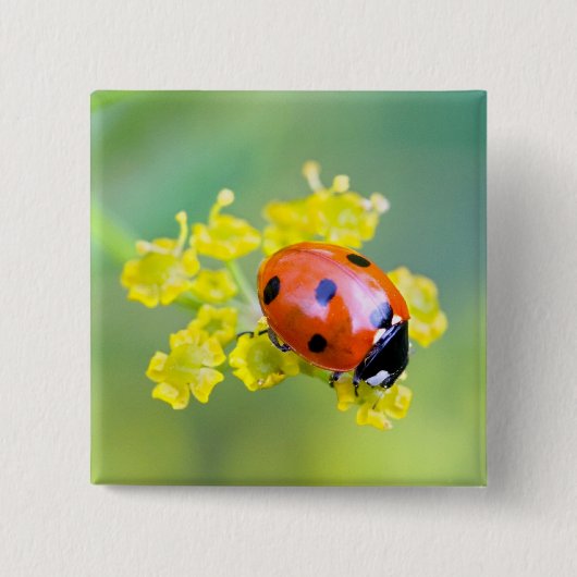 vrouw bovenop vierkante button 5,1 cm (Voorkant)