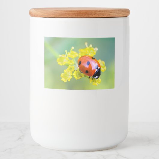 vrouw bovenop voedselcontainer etiket (Voorkant)
