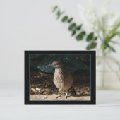 Vrouw Briefkaart (Staand voorkant)