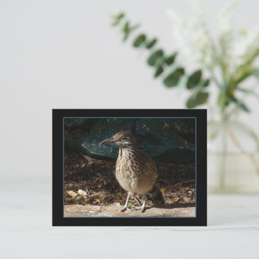 Vrouw Briefkaart (Staand voorkant)