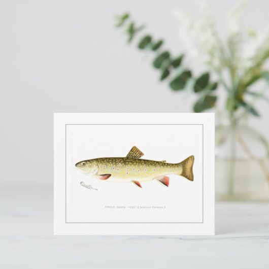 Vrouw Brook Trout Briefkaart (Staand voorkant)