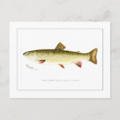 Vrouw Brook Trout Briefkaart (Voorkant)