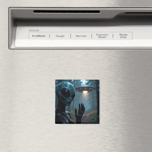 Vrouw buitenaardse wezens en UFO’s Magneet (Insitu (Vaatwasser))