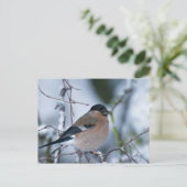 Vrouw Bullfinch Briefkaart (Staand voorkant)