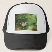 Vrouw Bullfrog Laying Eggs Trucker Pet (Voorkant)