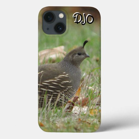 Vrouw California Quail Hoesje-Mate iPhone Case (Achterkant)