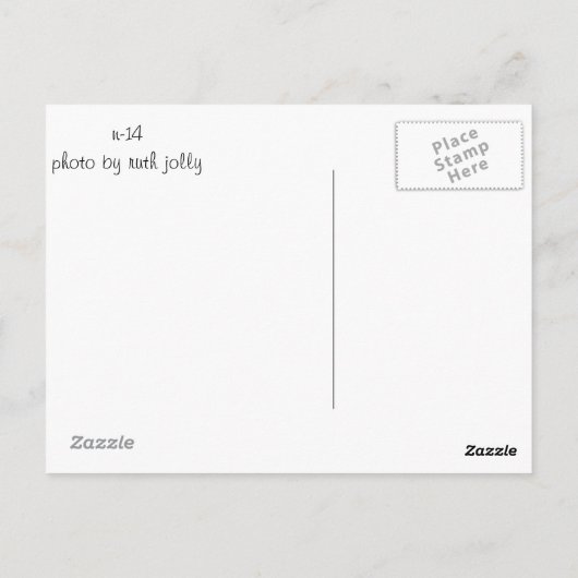 Vrouw Canvasback duck Profile Briefkaart (Achterkant)