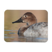 Vrouw Canvasback duck Profile Magneet (Horizontaal)