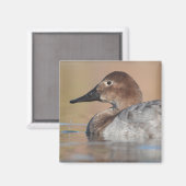 Vrouw Canvasback duck Profile Magneet (Voorkant / Achterkant)