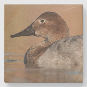 Vrouw Canvasback duck Profile Stenen Onderzetter