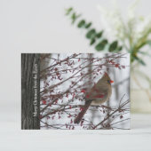 Vrouw Cardinaal Rustic Wood Holiday kerstkaart Kaart (Staand voorkant)