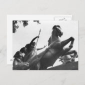 Vrouw chauffeur! briefkaart (Voorkant / Achterkant)