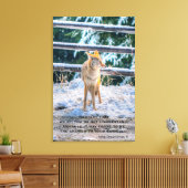 Vrouw Coyote en Snow Wildlife Foto Art en gedicht Canvas Afdruk (Insitu (Woonkamer))