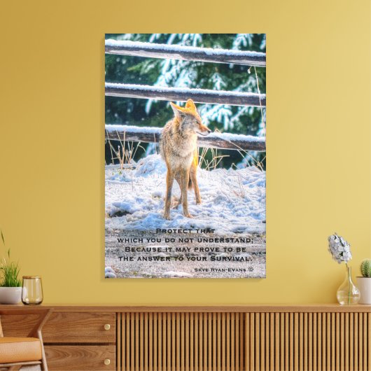 Vrouw Coyote en Snow Wildlife Foto Art en gedicht Canvas Afdruk (Insitu (Woonkamer))
