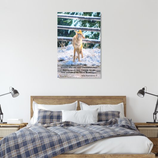 Vrouw Coyote en Snow Wildlife Foto Art en gedicht Canvas Afdruk (Insitu (Slaapkamer))