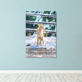 Vrouw Coyote en Snow Wildlife Foto Art en gedicht Canvas Afdruk (Insitu (Houten vloer))