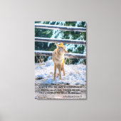 Vrouw Coyote en Snow Wildlife Foto Art en gedicht Canvas Afdruk (Voorkant)