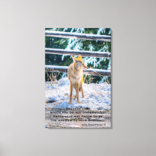 Vrouw Coyote en Snow Wildlife Foto Art en gedicht Canvas Afdruk