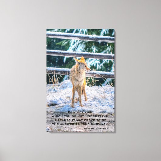 Vrouw Coyote en Snow Wildlife Foto Art en gedicht Canvas Afdruk (Voorkant)