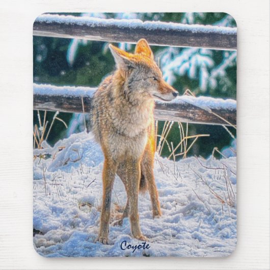 Vrouw Coyote jacht op sneeuw #Gift Mousepad Muismat (Voorkant)