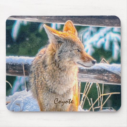 Vrouw Coyote jacht op sneeuw #Gift Mousepad Muismat (Voorkant)