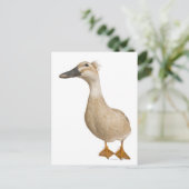 Vrouw Crested Duck, 3 jaar oud Briefkaart (Staand voorkant)