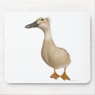 Vrouw Crested Duck, 3 jaar oud Muismat
