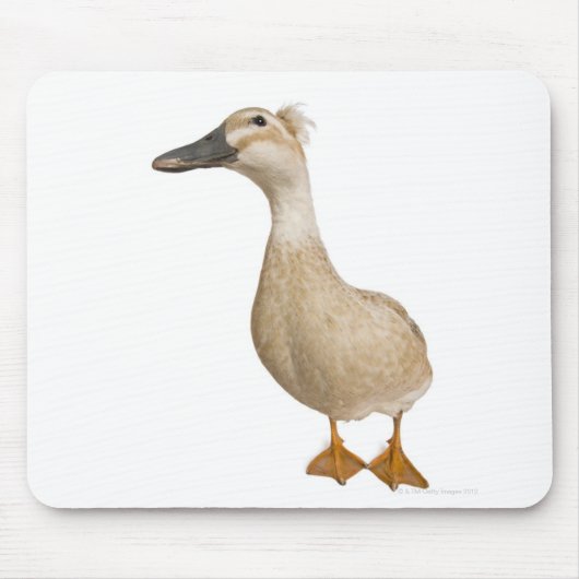 Vrouw Crested Duck, 3 jaar oud Muismat (Voorkant)