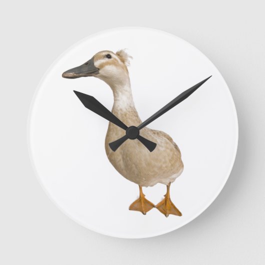 Vrouw Crested Duck, 3 jaar oud Ronde Klok (Voorkant)