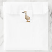Vrouw Crested Duck, 3 jaar oud Vierkante Sticker (Tas)