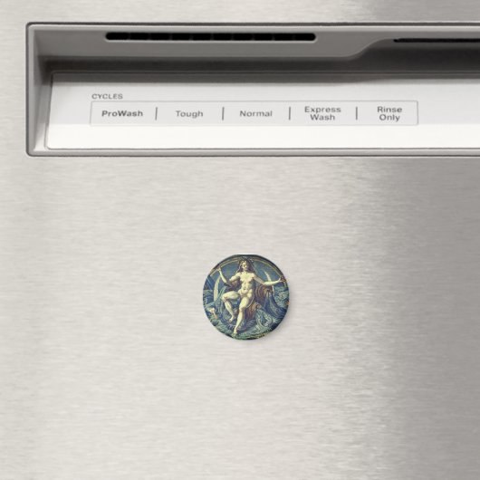 Vrouw Designer Magnet (Insitu (Vaatwasser))