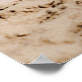 Vrouw die bij de kust zit terwijl hij Golde bekijk Poster (Hoek)