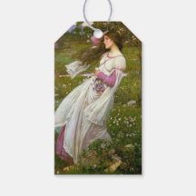 Vrouw die Bloemen in de Wind verzamelt