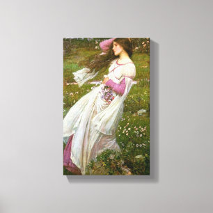 Vrouw die Bloemen in de Wind verzamelt Canvas Afdruk
