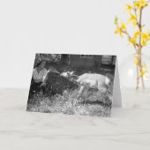 Vrouw die een antilope met de fles grootbrengt kaart (Gele Bloem)