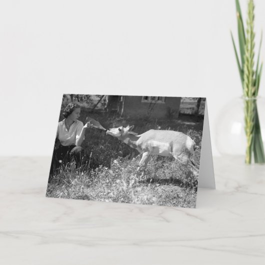 Vrouw die een antilope met de fles grootbrengt kaart (Voorkant)