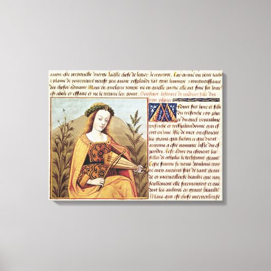 Vrouw die een viool speelt canvas afdruk (Voorkant)