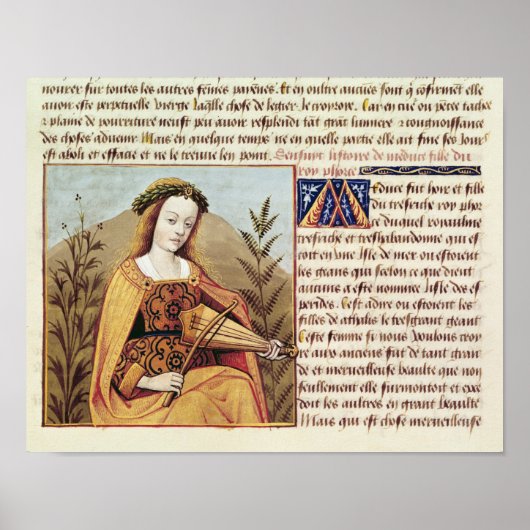 Vrouw die een viool speelt poster (Voorkant)