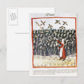 Vrouw die haar oogst van Millet beschermt Briefkaart (Voorkant / Achterkant)