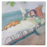 Vrouw die op een bank ligt, 1913 (m/c op papier) tegeltje<br><div class="desc">Collectie afbeelding nummer: XIR180155 Vrouw op een bank, 1913 (w/c op papier). Larsson, Carl (1853-1919), waterverf op papier. Louvre, Parijs, France Giraudon. 1913</div>