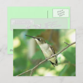 Vrouw door de lucht gejaagd Briefkaart van Humming (Voorkant / Achterkant)