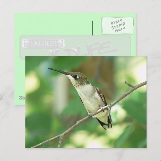 Vrouw door de lucht gejaagd Briefkaart van Humming (Voorkant / Achterkant)