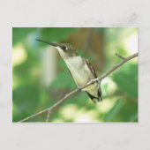 Vrouw door de lucht gejaagd Briefkaart van Humming (Voorkant)