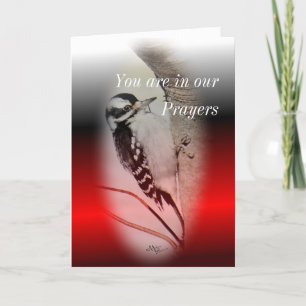 Vrouw Downy Woodpecker- elke gelegenheid aanpassen Kaart