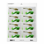 Vrouw Dragonfly Diplacodes Trivialis Etiket (Full Sheet)