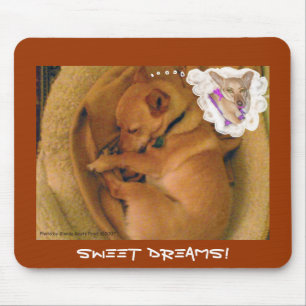 VROUW DREAMS! MUISMAT