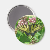 Vrouw Eastern Tiger Swallowtail Butterfly Magnet (Voorkant / Achterkant)