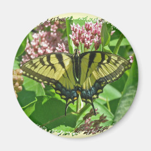 Vrouw Eastern Tiger Swallowtail Butterfly Magnet