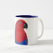 Vrouw Eclectus 11oz Tweekleurige Koffiemok (Voorkant rechts)